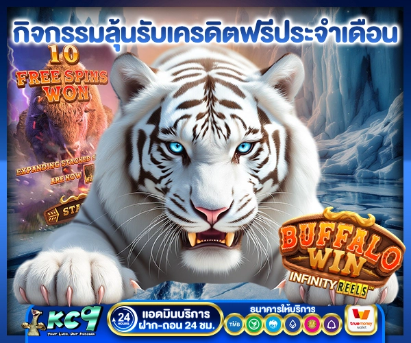 โปรโมชั่น